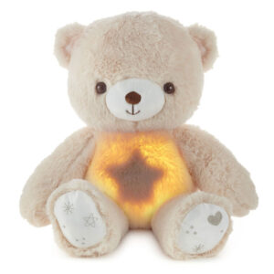Teddy Bear Plush